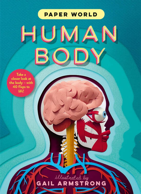 Human Body